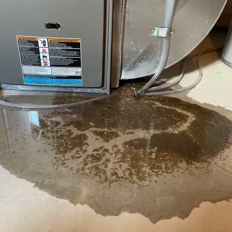 Appliance Leak Cleanup in Houston, TX